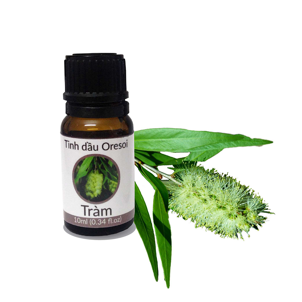 Tinh dầu Tràm gió hữu cơ Oresoi 10ml – Cajeput Essential Oil