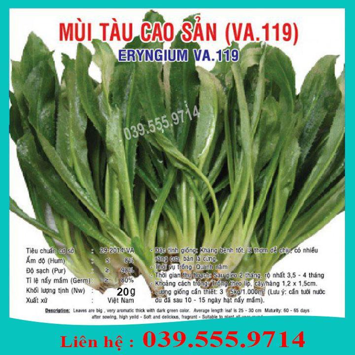 HẠT GIỐNG RAU MÙI TÀU GÓI 5G - TỶ LỆ NẢY MẦM TỐT, CHẤT LƯỢNG CAO