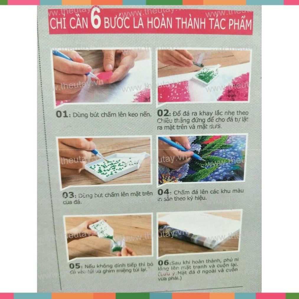 Tranh đính đá chưa đính hạt tròn Đức Mẹ Maria Ban Ơn 61272