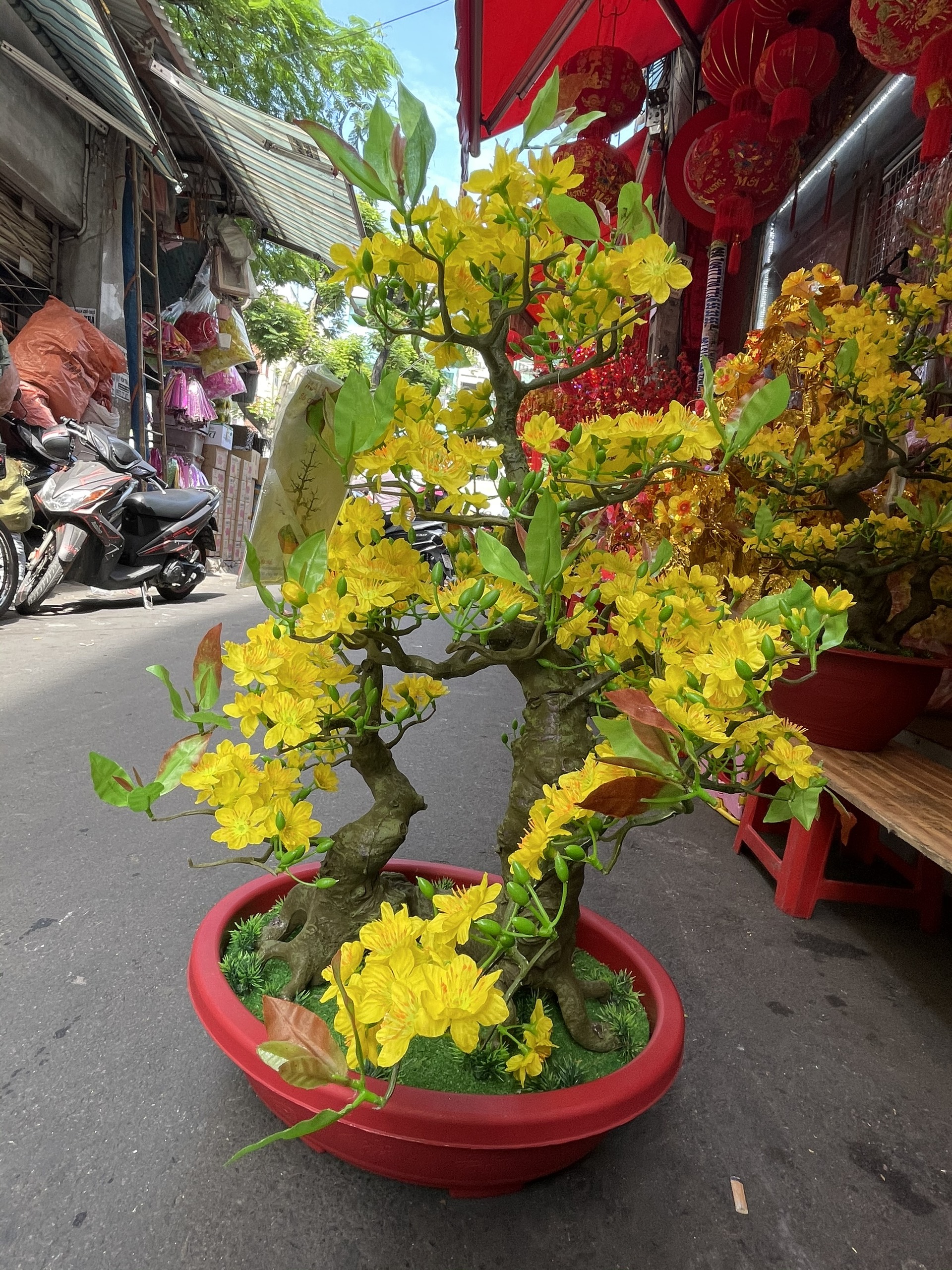 Cây Hoa Mai Bonsai Nhựa Cao 92 cm Hoa Mai Trang Trí Tết