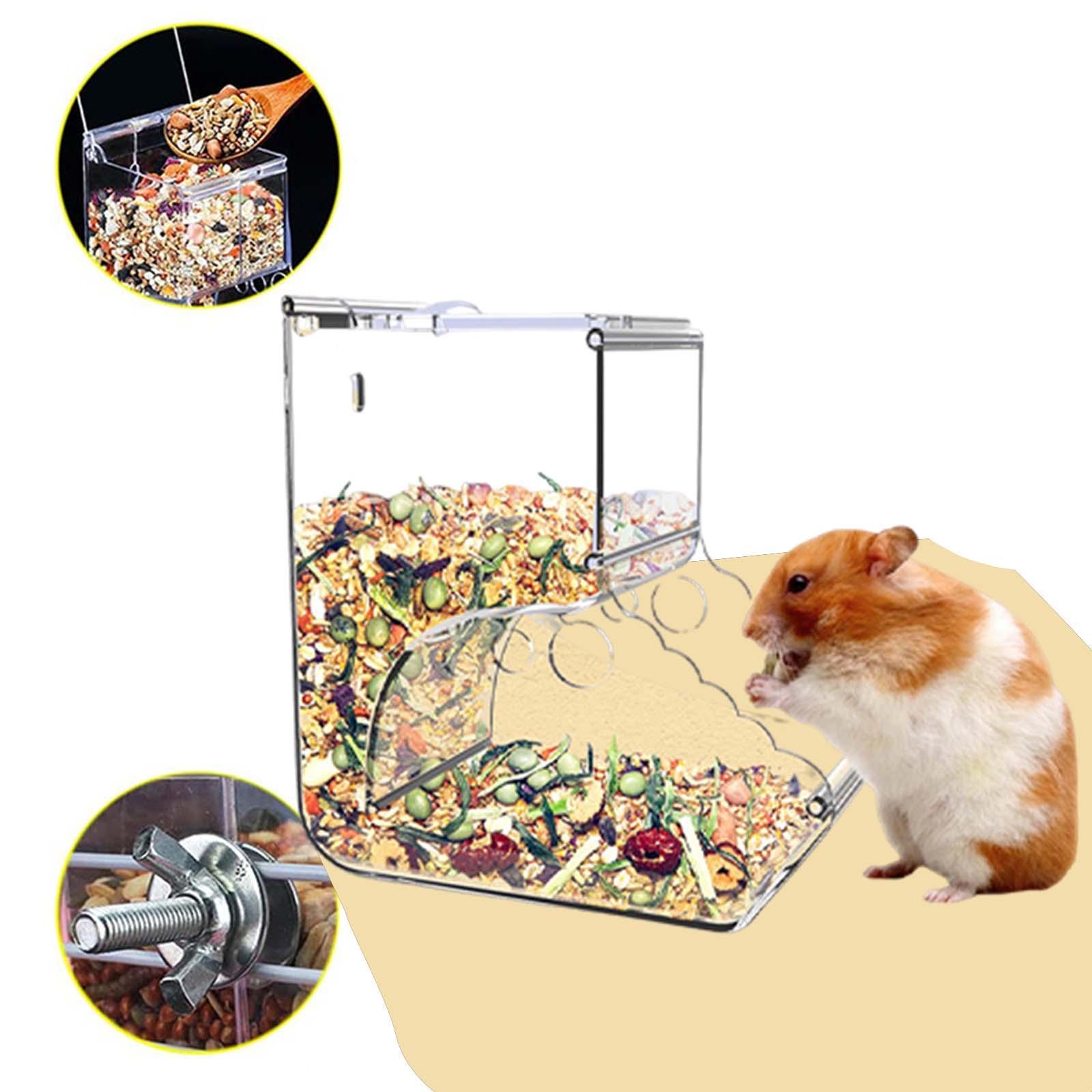 Automatic Hamster Feeder Dwarf Acrylic Birds Transparent Guinea Pig Feeding