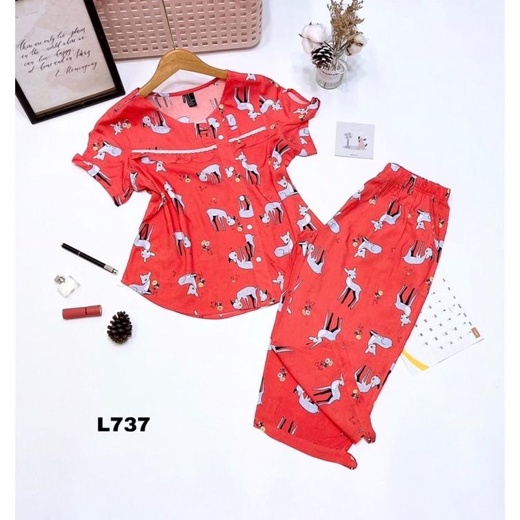 Bộ Tole Lanh Lửng 2 Nơ