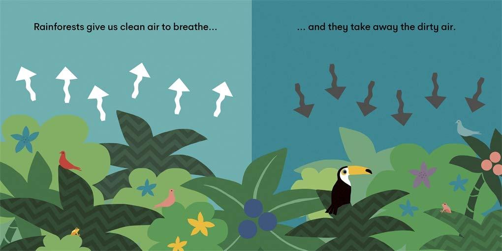 Sách ngoại văn: Eco Baby - Rainforests