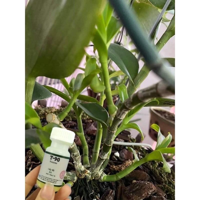 Kích mầm T90 cam kết hiệu quả 100%, bôi ở đâu bật mầm ở đó