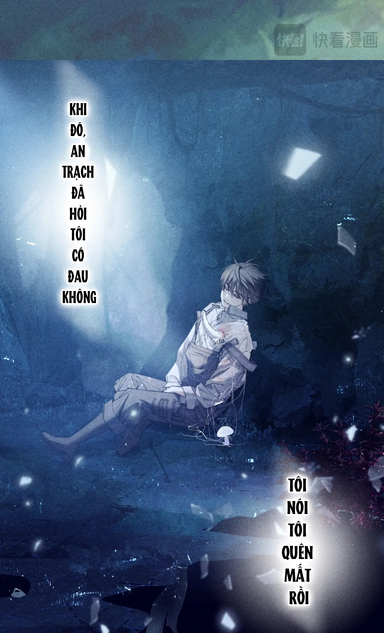 cây nấm nhỏ chapter 10 66