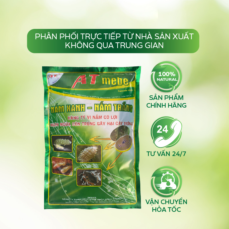 Chế Phẩm Tiêu Diệt Sâu Sinh Học AT Mebe Đậm Đặc 1kg Diệt Trừ Sâu Hại, Rầy Phấn Trắng, Rệp, Bọ Trĩ, Sâu Đục Thân, Bọ Xít