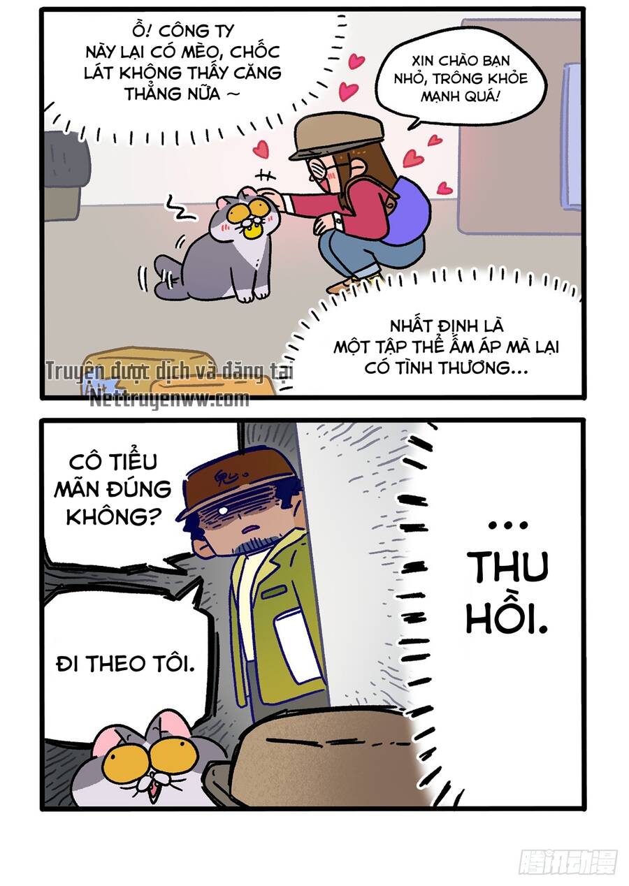 a mãn và mạch trà chapter 146 4