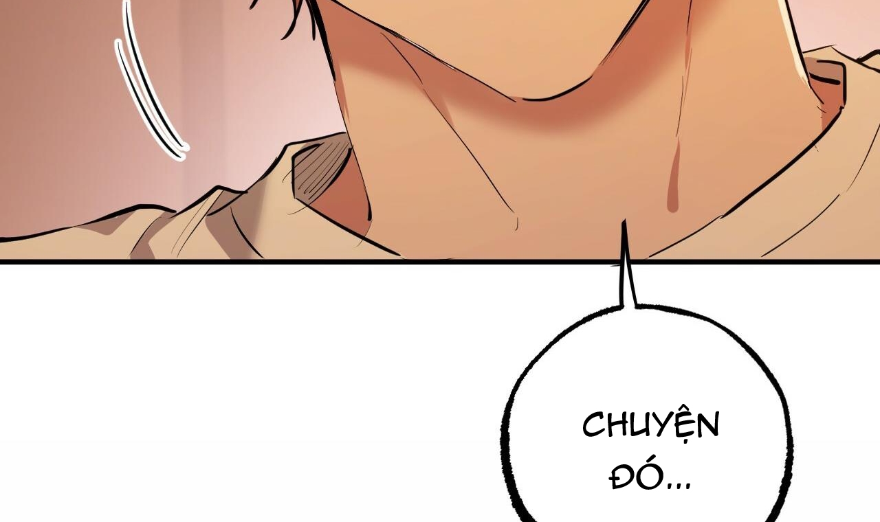 đàn thỏ của habibi chapter 37 151