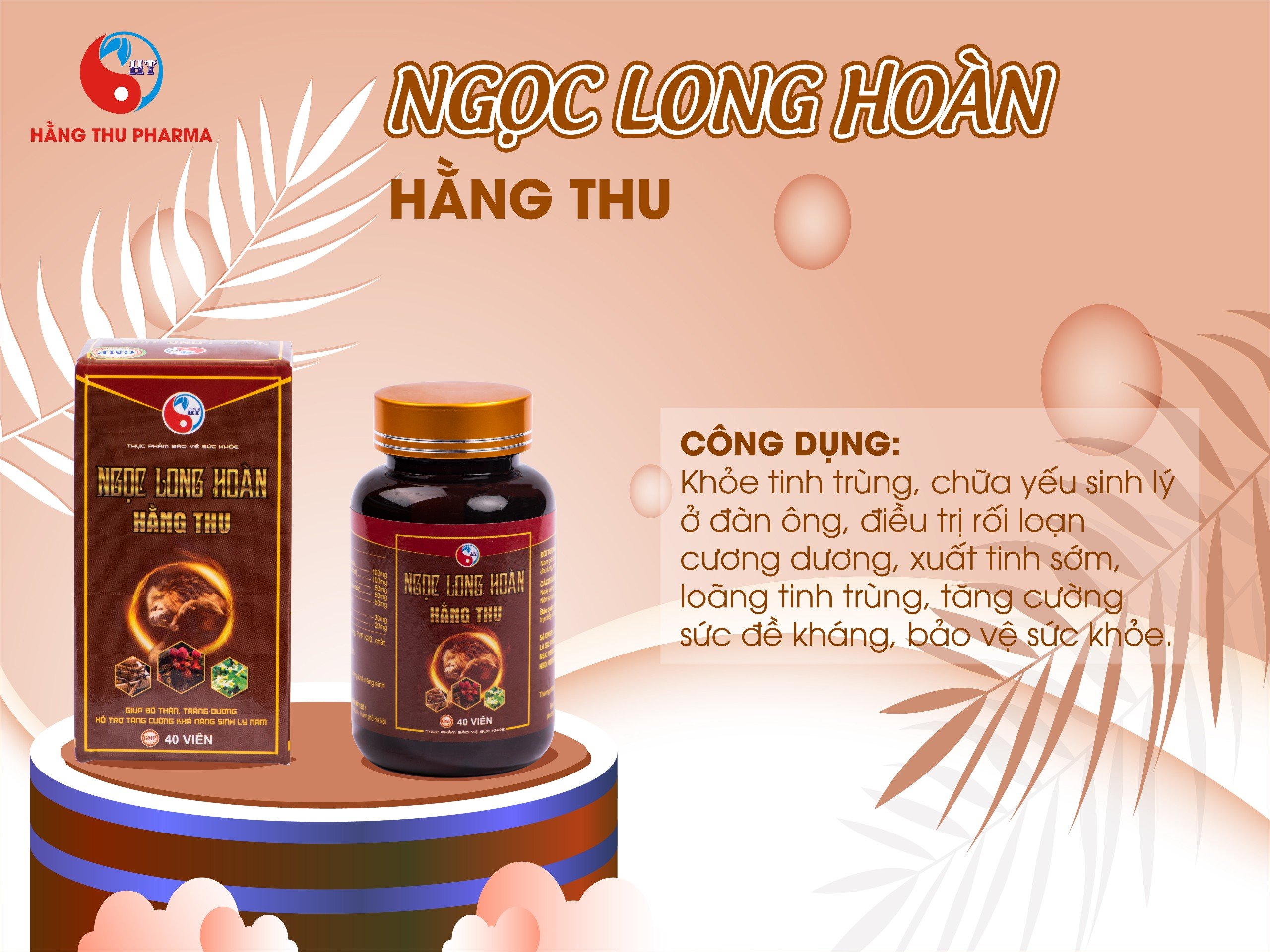 Viên uống Ngọc Long Hoàn HT