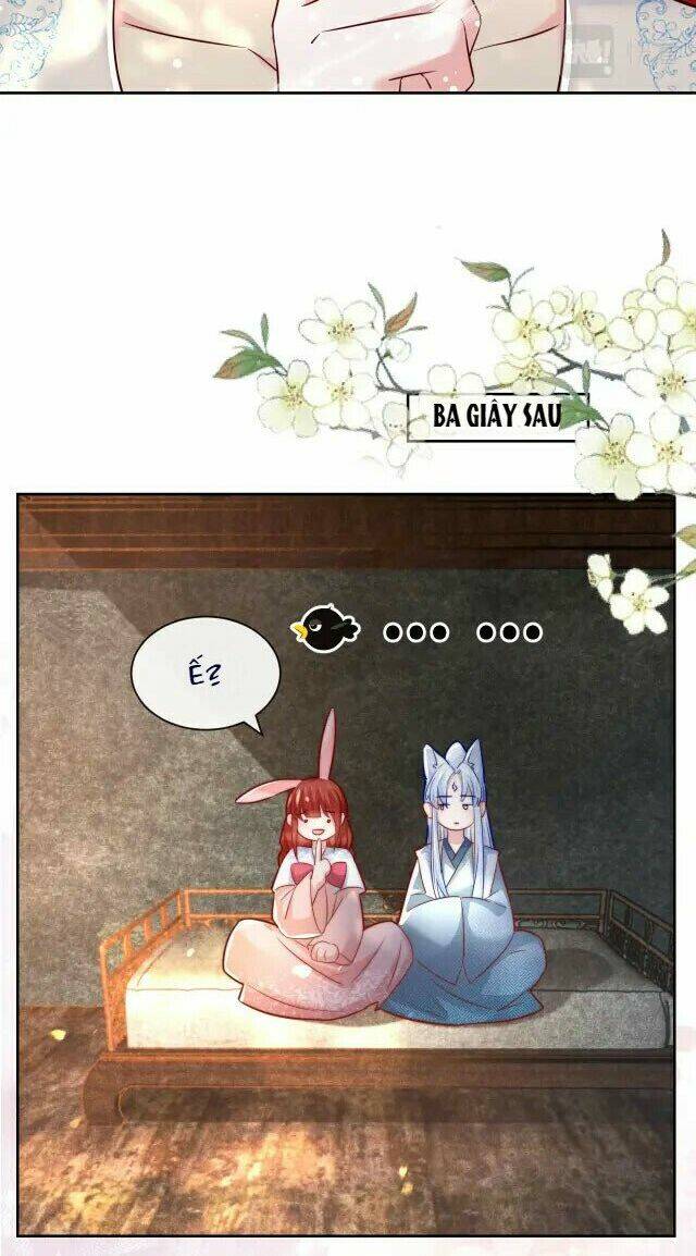 hắc hóa nam chính trực tuyến nuôi thỏ chapter 26 8