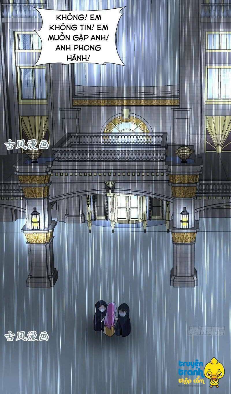 cường sủng hào môn tiểu manh thê chapter 56 33