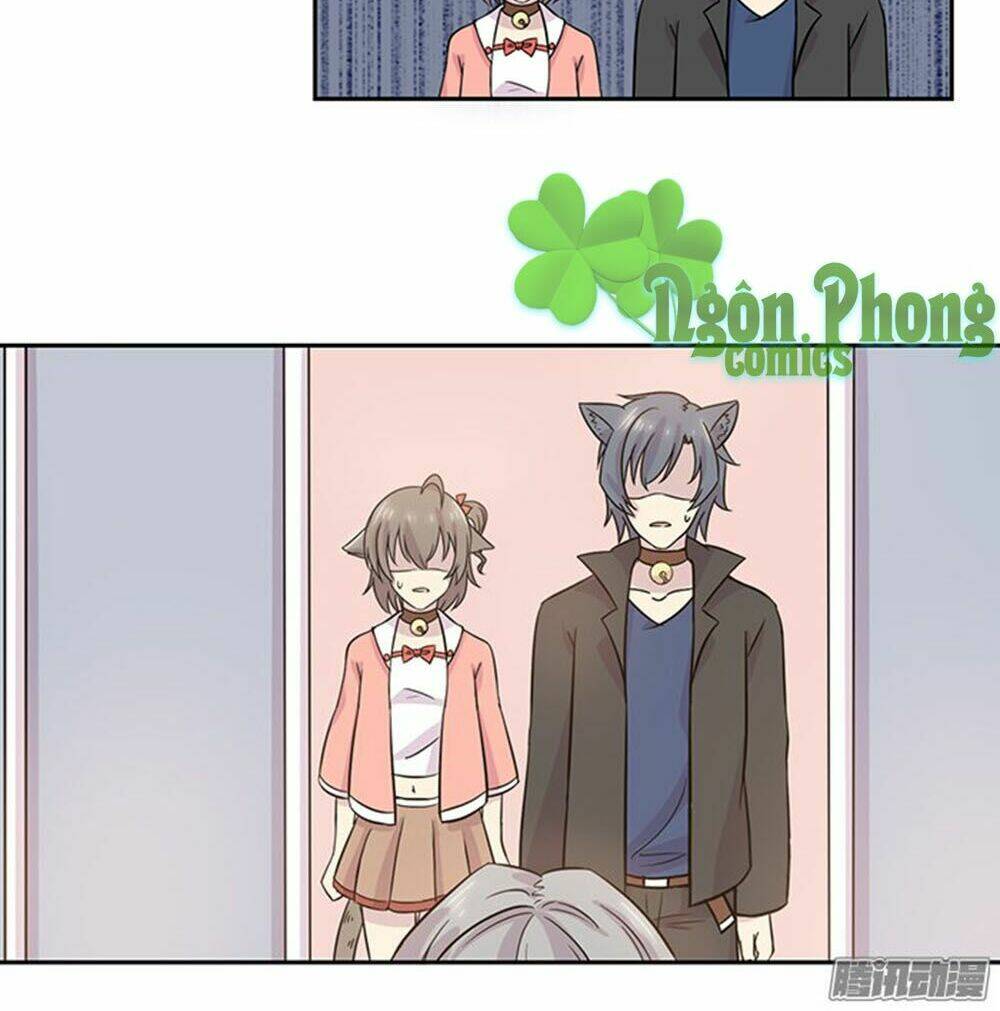 hai chú mèo totem chapter 23 7