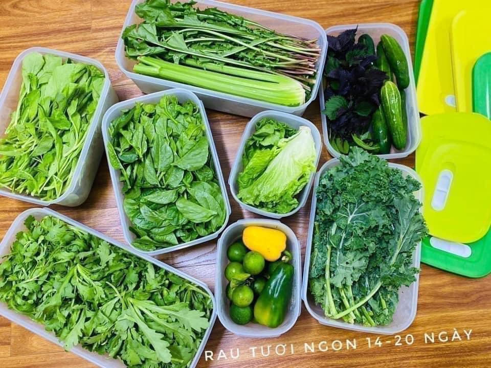 Bộ Hộp Tupperware Trữ Mát Có Nút Hô Hấp Ventsmart 6 Hộp - Nữ Hoàng Trữ Mát - Tươi Đến 3 Tuần