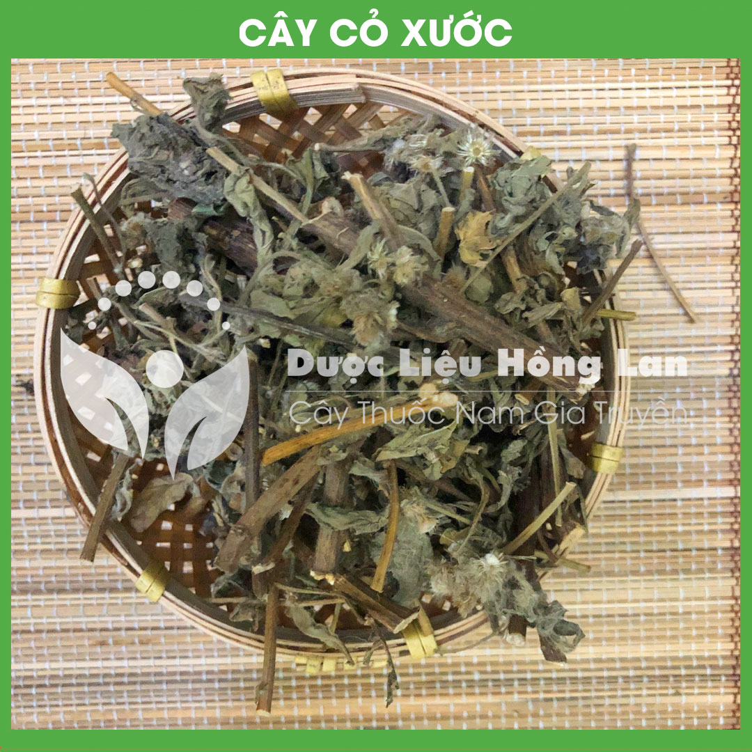 Cây Cỏ Xước khô sạch đóng gói 500gram