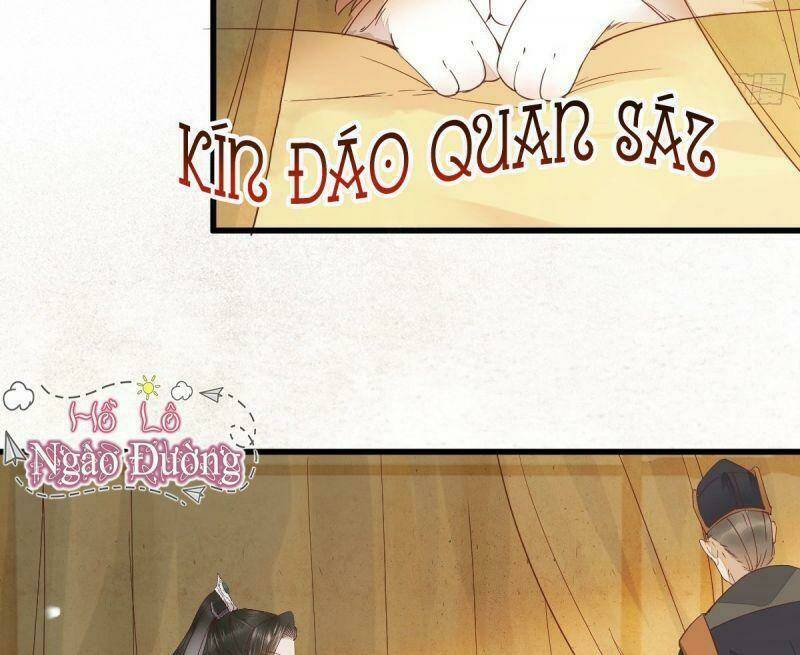 sát thủ vương phi không dễ chọc chapter 32 48