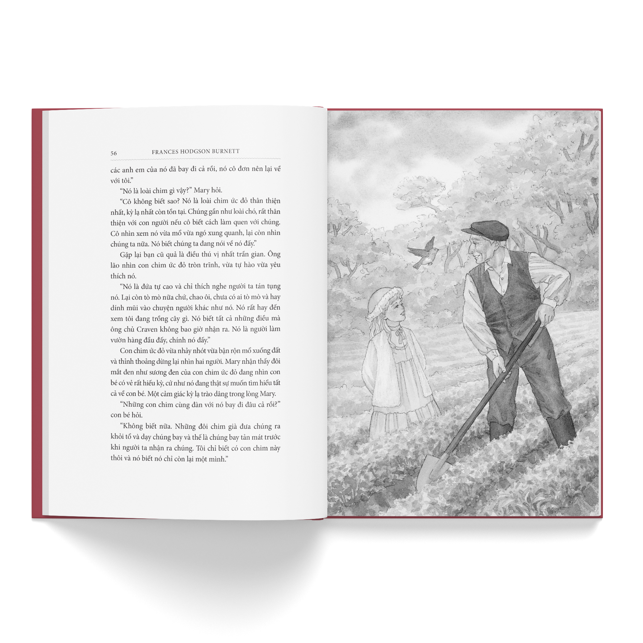 Khu vườn bí mật (bìa vải)