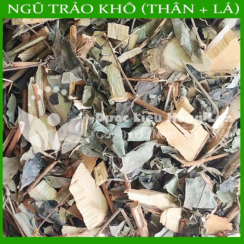 Lá Cây Ngũ Trảo khô sạch đóng gói 1kg