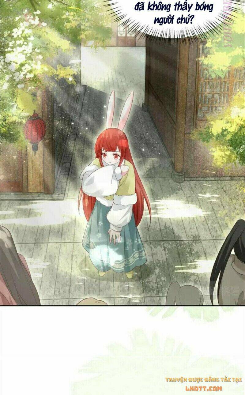 hắc hóa nam chính trực tuyến nuôi thỏ chapter 57 33