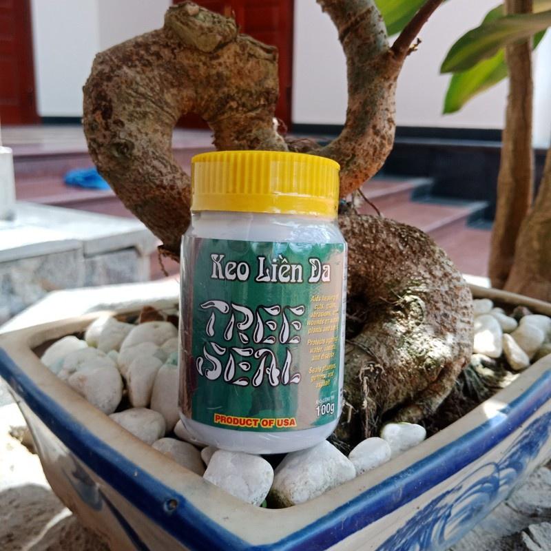 Keo Liền Da TREE SEAL 100g, Sản phẩm nhập Mỹ