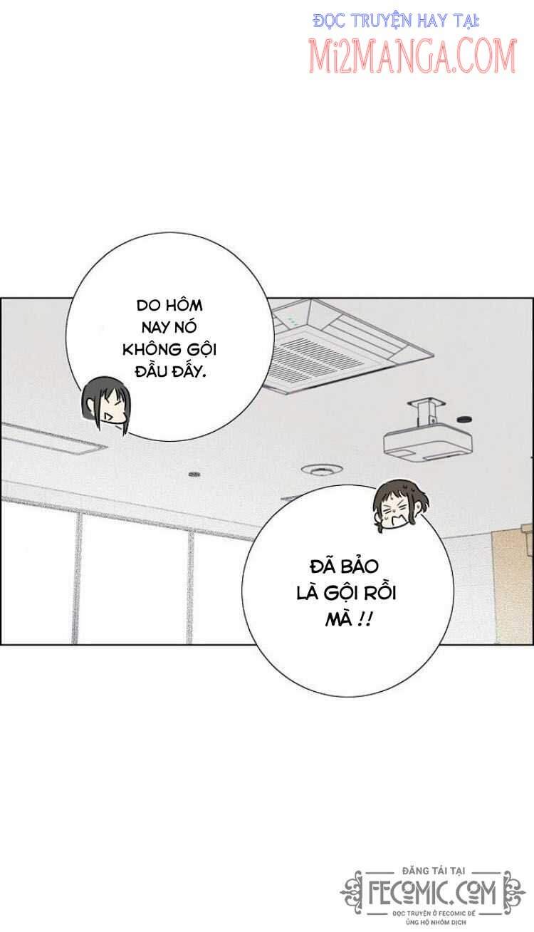 tôi đã cướp mất đêm đầu tiên của nam chính chapter 74.5 3