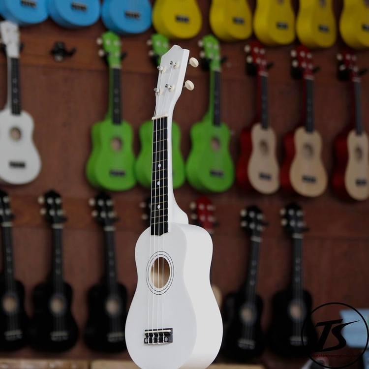 Đàn ukelele nhiều màu sắc đáng yêu