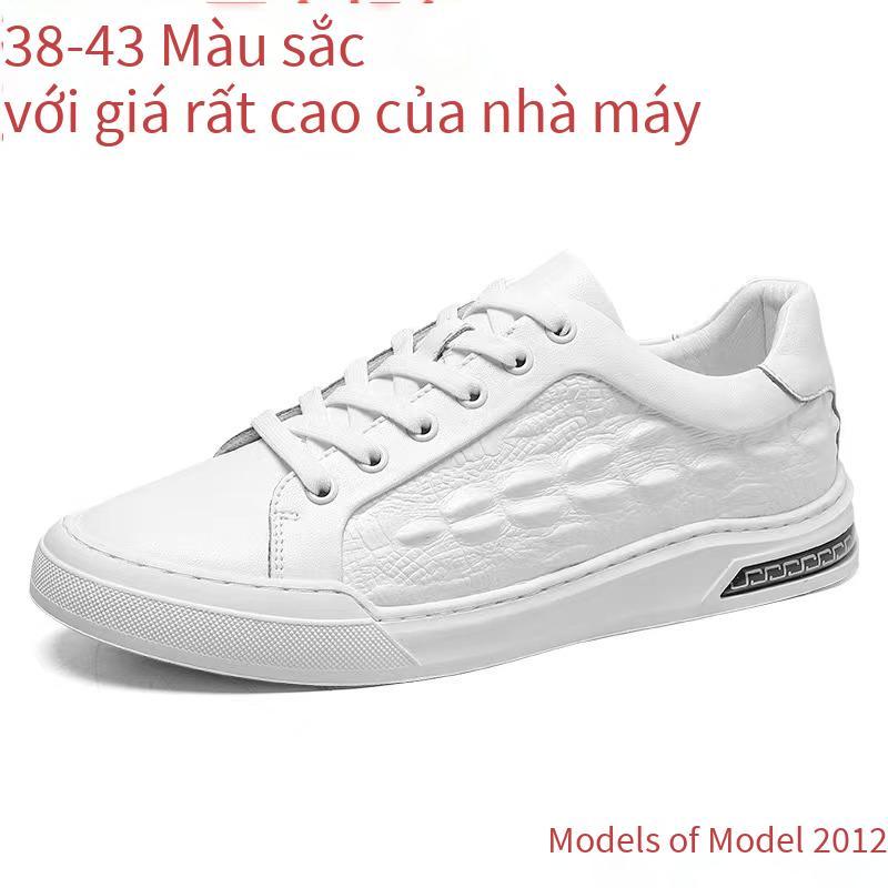 Giá Thấp Nhất Giày Nam Thời Trang Giày Nam Chống Trơn Trượt Bố Giày Xu Hướng Size Lớn Giày Nam