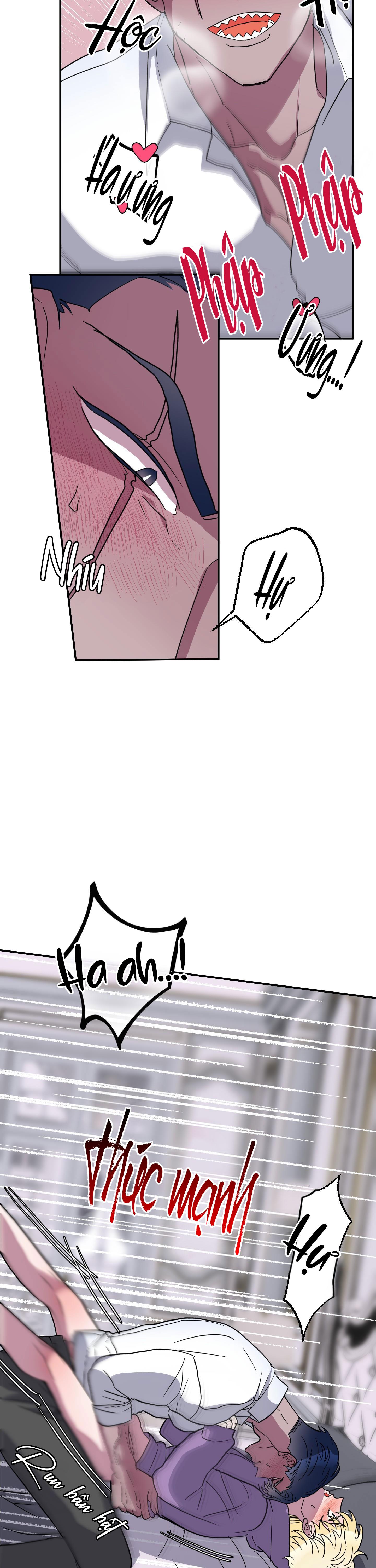 cá mập và cô dâu thỏ chapter 3 23