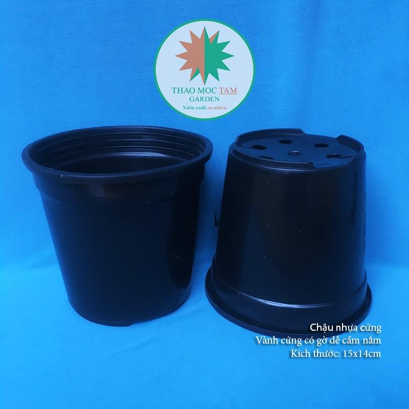 02c Chậu nhựa cứng 15x14cm – Chậu nhựa tròn, dày thích hợp trồng cây hoa, cây kiểng nhỏ, ươm trồng cây.