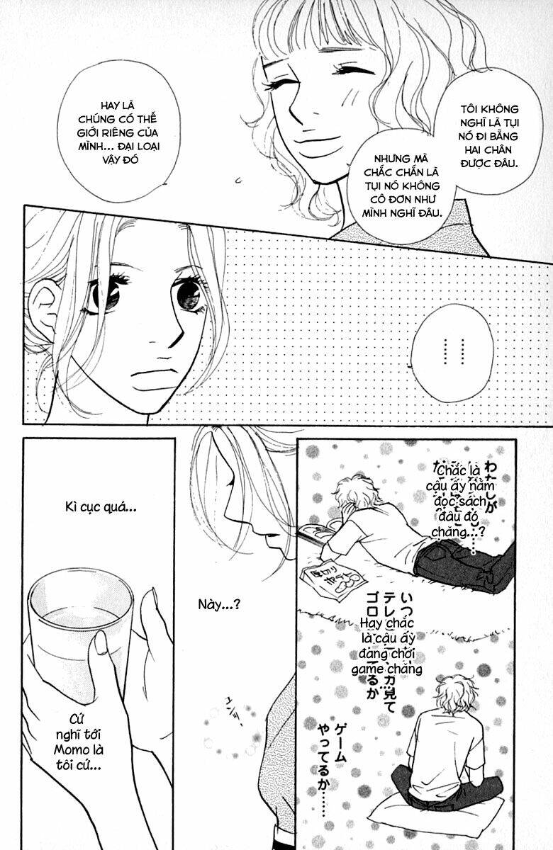 kimi wa petto chapter 14 15