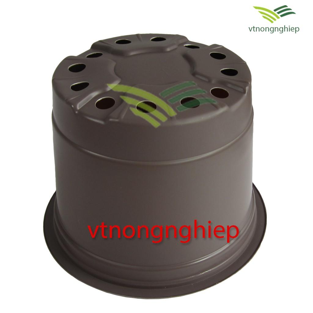Chậu nhựa trồng Hoa CH-23x16 màu xám nâu, màu đỏ đất, màu trắng