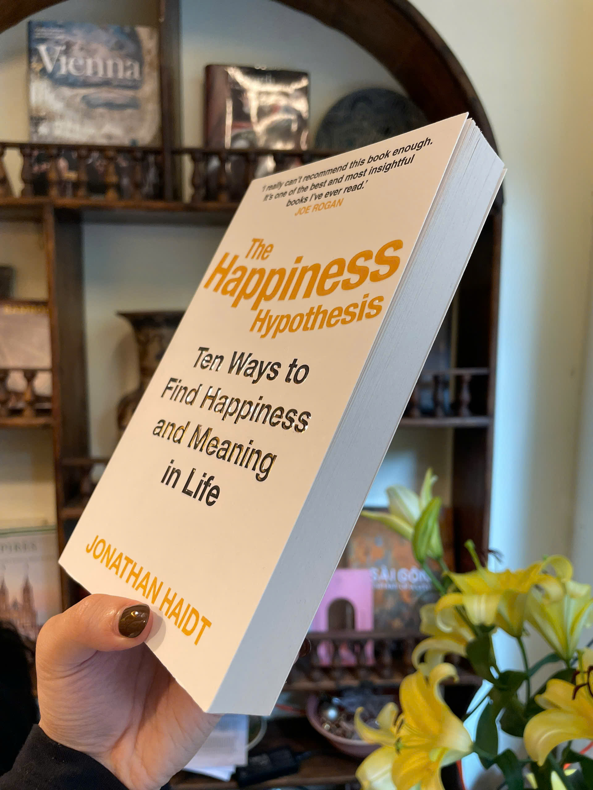 Sách - The Happiness Hypothesis by Jonathan Haidt | Psychology / Self Help / Ngoại văn Tâm lý học