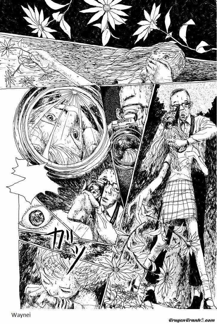 the garden chapter 7 8