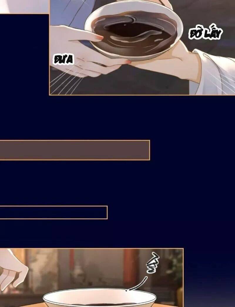 sủng phi của vương chapter 154 13