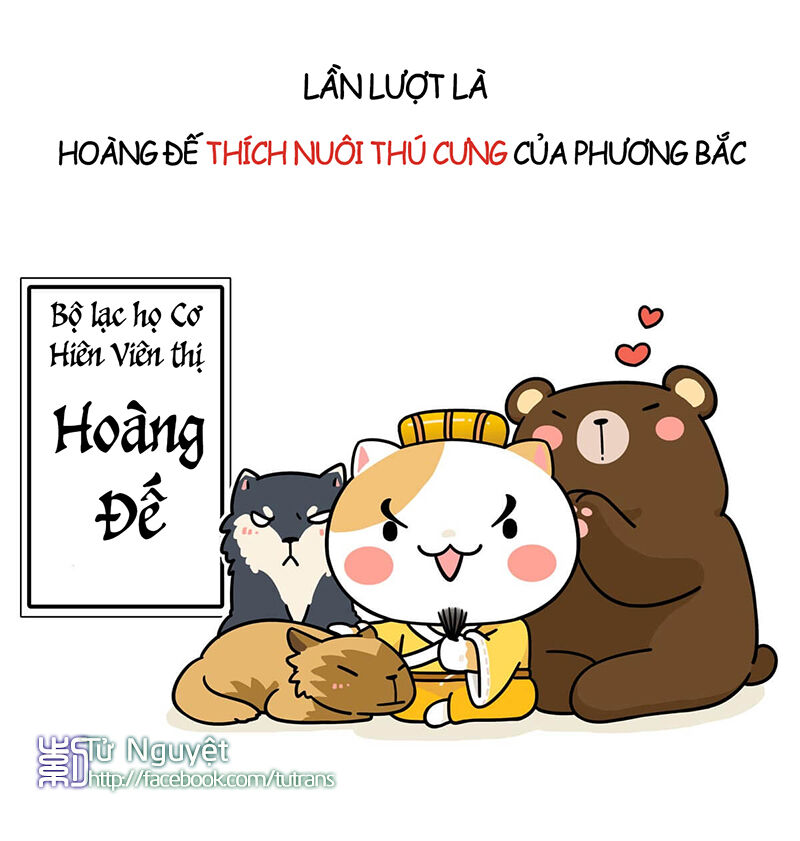 nếu lịch sử là một bầy mèo chapter 1 13