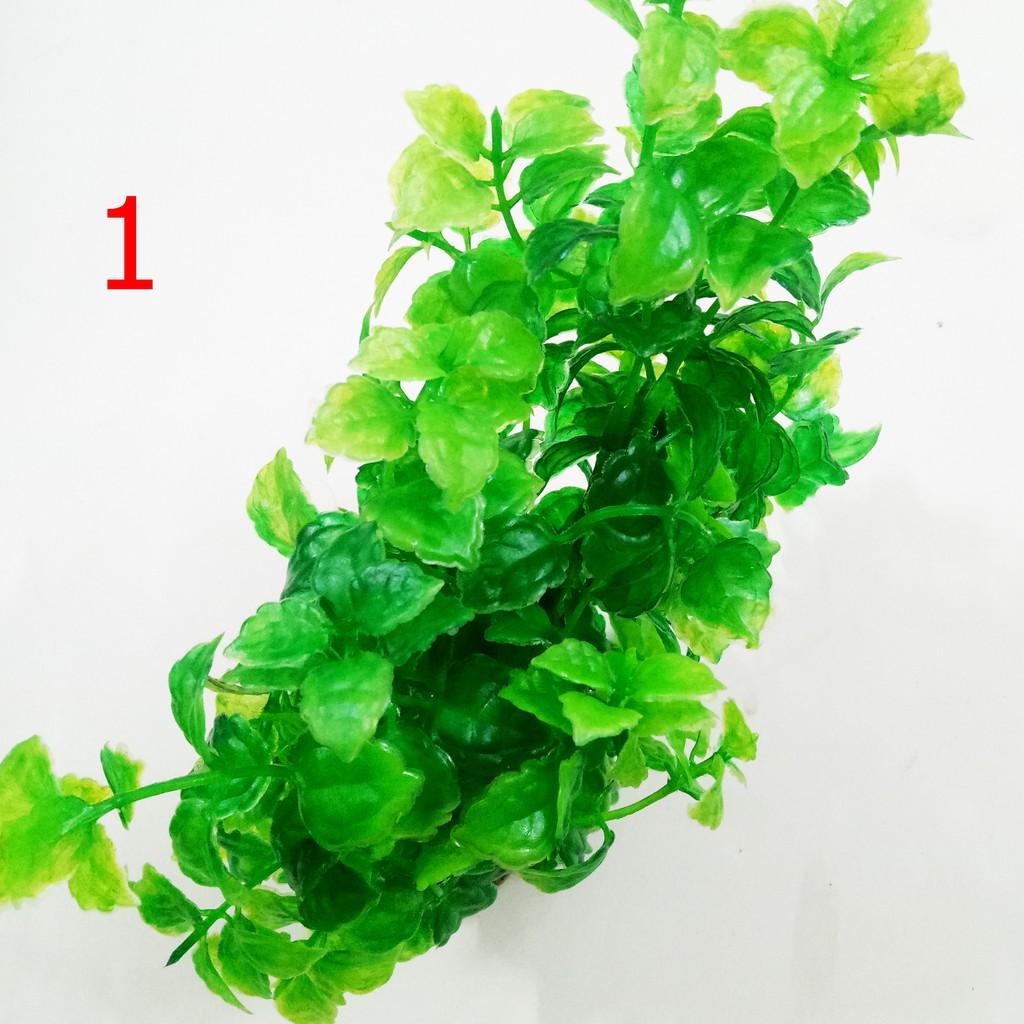 Cây Trang Trí Bể Cá Size Lớn - Đồ Trang Trí Hồ Cá