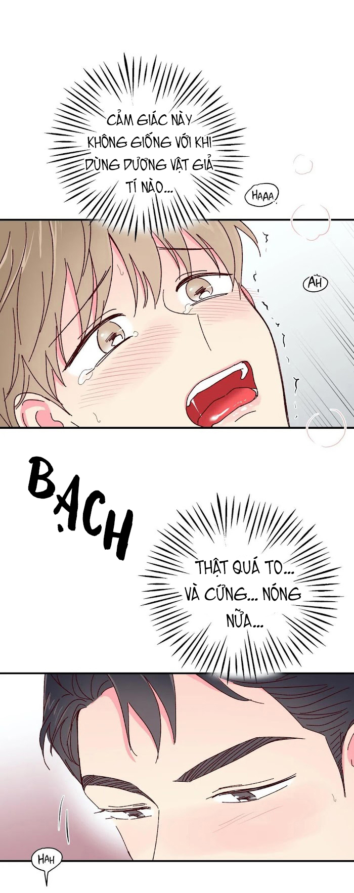 món tráng miệng của sếp tổng chapter 14 18