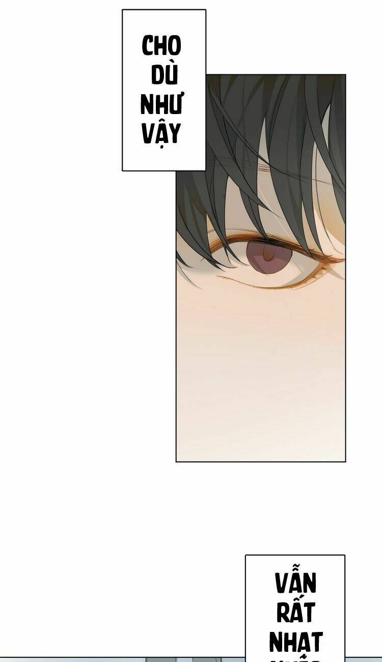 xúc bất khả cập chapter 1 36