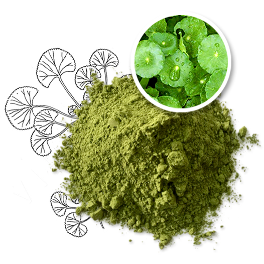 Bột rau má nguyên chất Goce - 72g