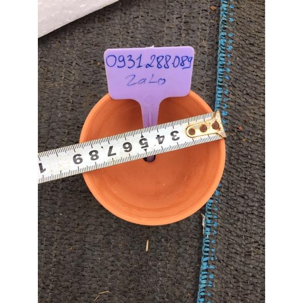 Chậu đất nung lùn 9:5cm trồng sen đá xương rồng