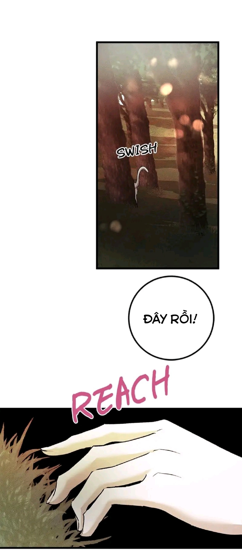 tôi muốn hủy cuộc hôn ước này chapter 31 14