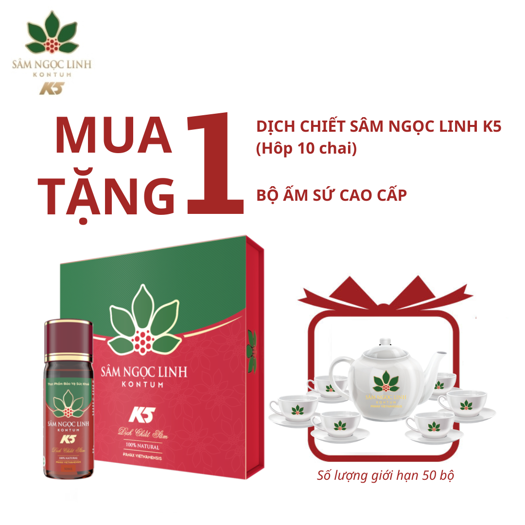 (Deal sốc tháng 11) DỊCH CHIẾT SÂM NGỌC LINH KONTUM - HỘP 10