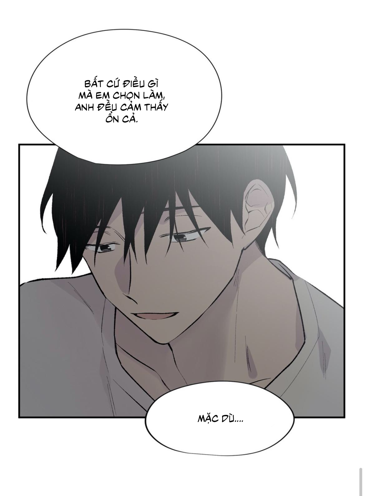 đừng viết nữa, tác giả thân mến! chapter 51 56