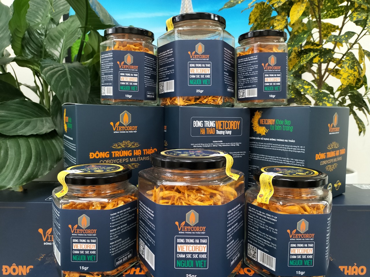 DEAL HOT { ĐÔNG TRÙNG HẠ THẢO CAO CẤP_2 HŨ * 25GR }