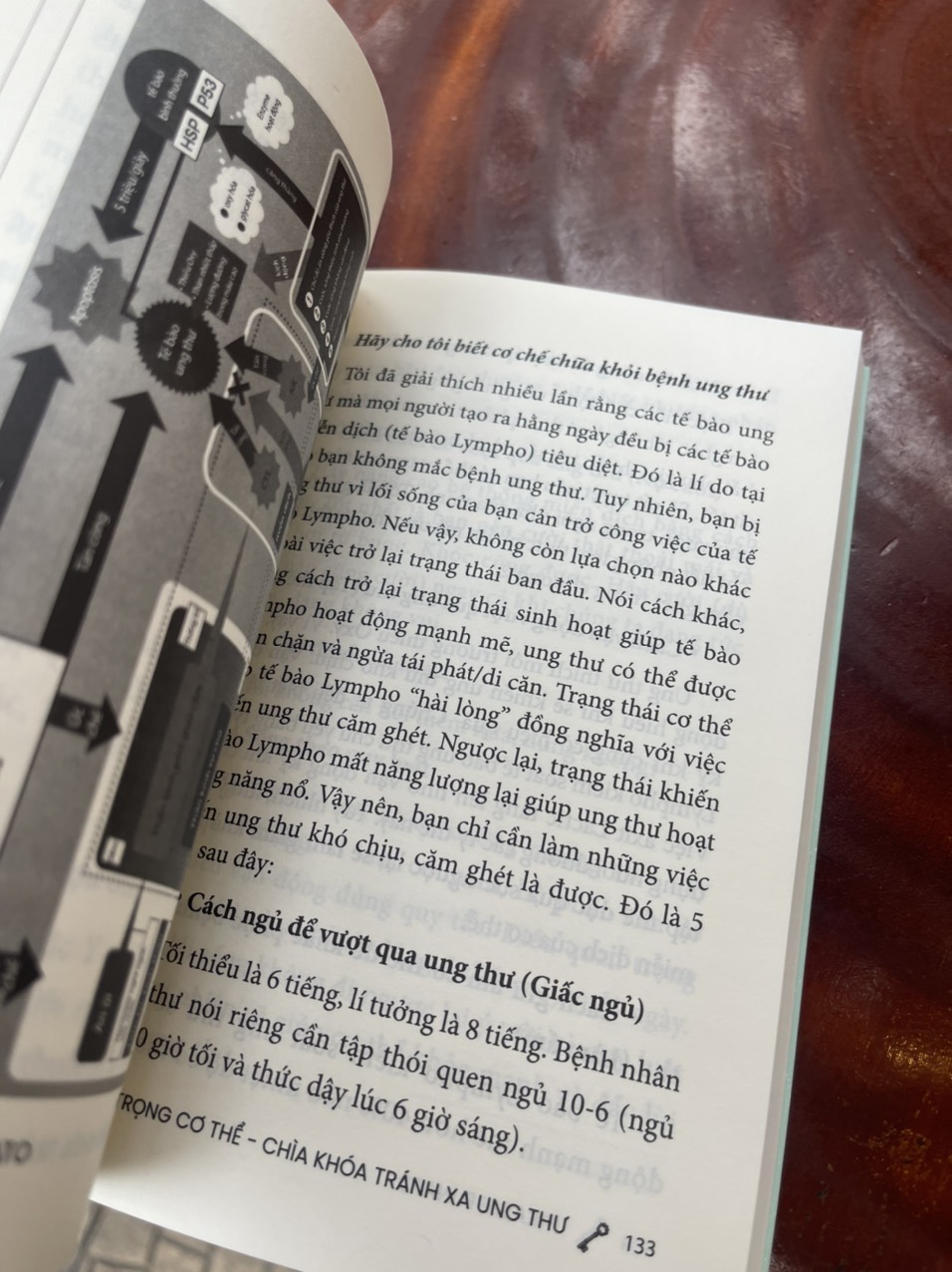 TRÂN TRỌNG CƠ THỂ - Chìa khóa tránh xa ung thư – Takashi Funato – Kỳ Phong dịch – Huy Hoàng Books – NXB Thanh Niên