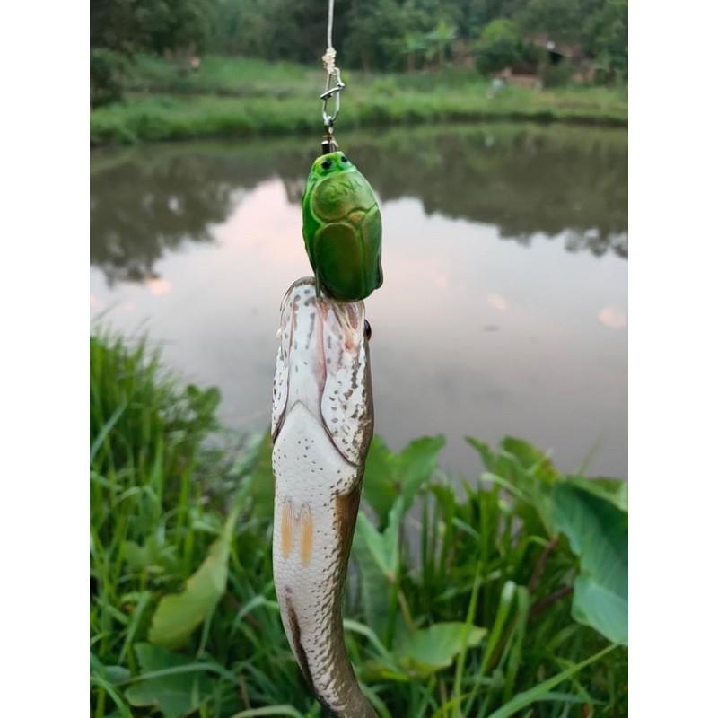 Mồi cc40 của nhà TNT