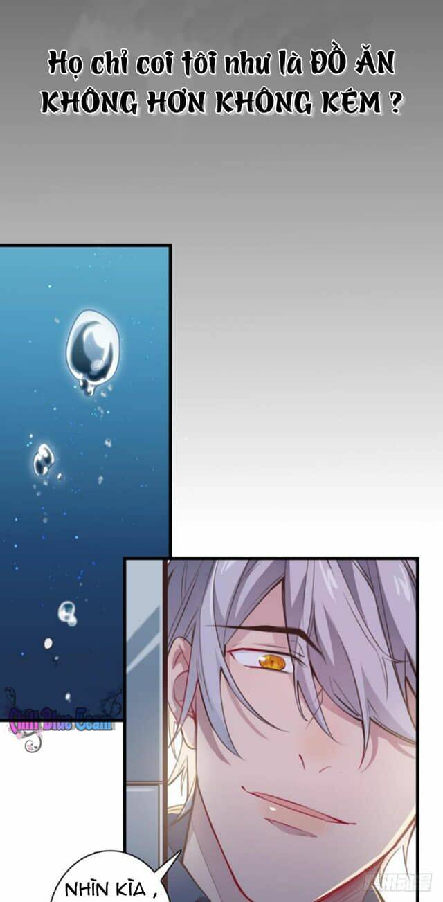 lang quân, xin đừng...! chapter 2 19