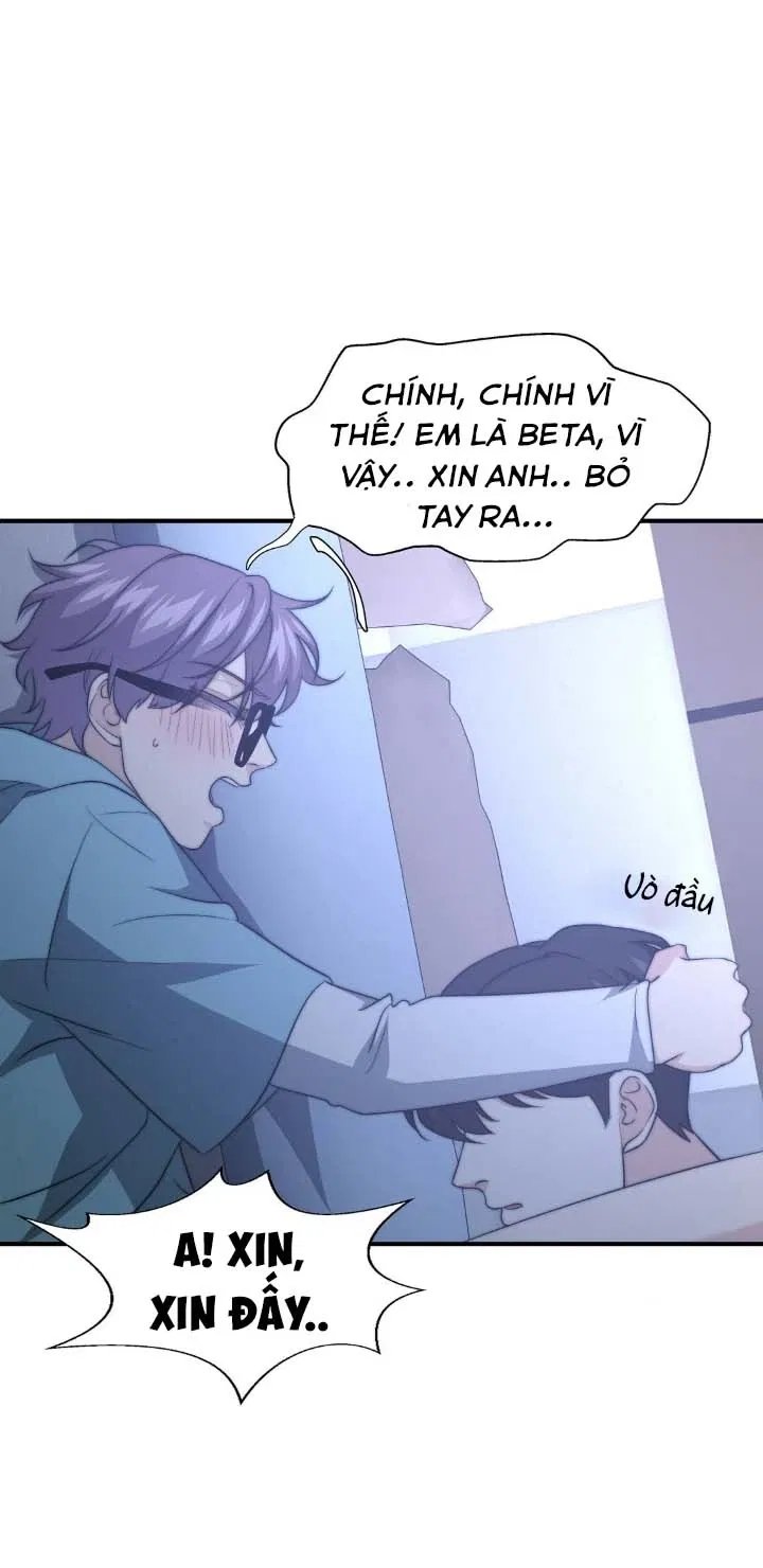 bí mật của omega k chapter 29 63