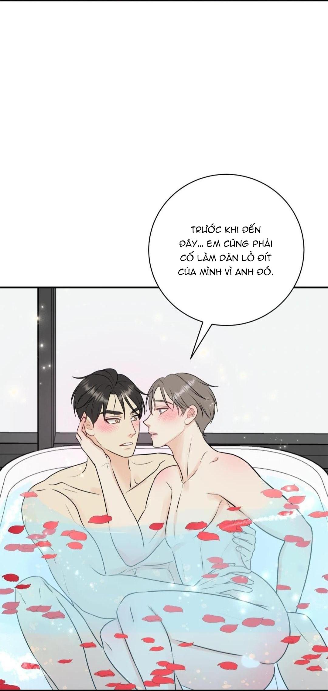 hạnh phúc trọn vẹn chapter 22 41