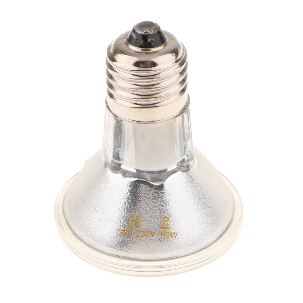 Đèn LED Sưởi Ấm Cho Bò Sát Với Chân E27