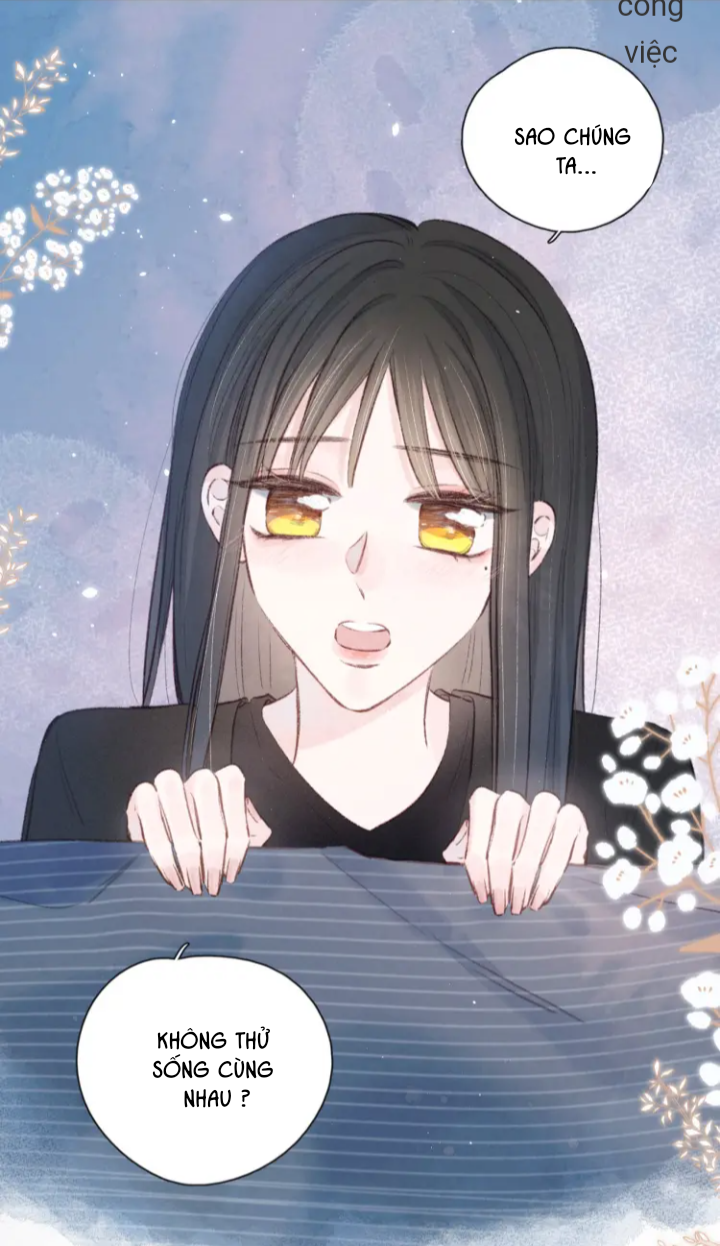 nỗi buồn của hoa cẩm tú cầu chapter 41 5